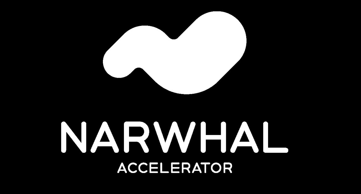 narwhal-accelerator-launches-to-support-game-dev-startups